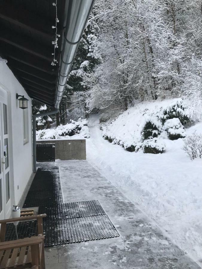 Apartment Gisi インスブルック エクステリア 写真